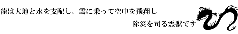 金襴生地 雲文地に丸龍