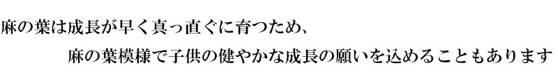 金襴織物  麻の葉・小